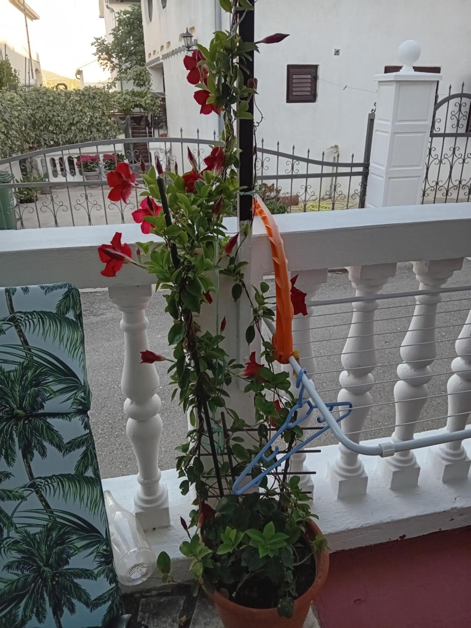 Apartments Vendi Šibenik Kültér fotó